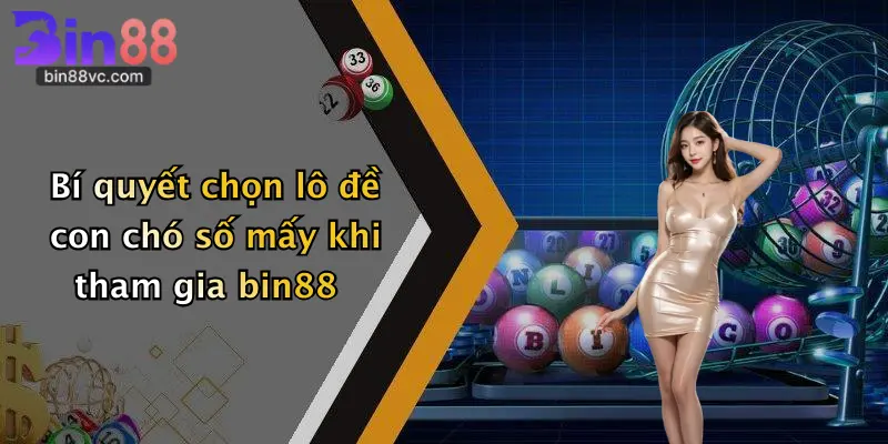 Bí quyết chọn lô đề con chó số mấy khi tham gia bin88
