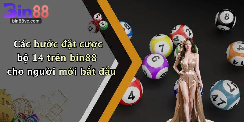 Các bước đặt cược bộ 14 trên bin88 cho người mới bắt đầu