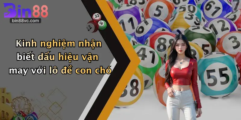 Kinh nghiệm nhận biết dấu hiệu vận may với lô đề con chó