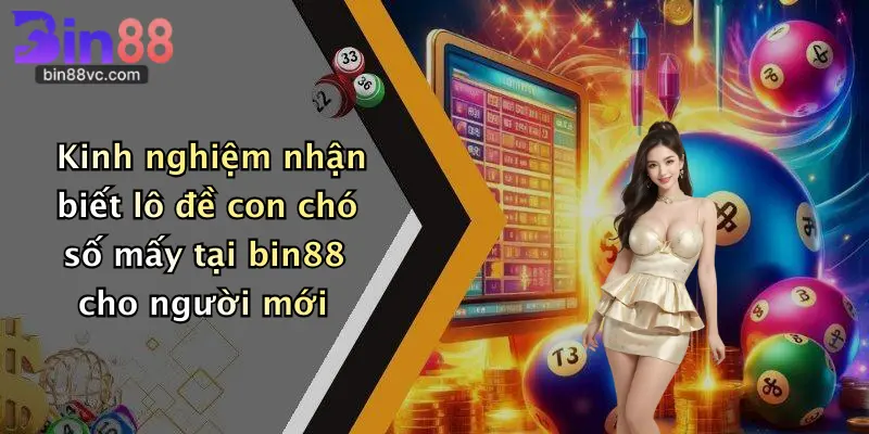 Kinh nghiệm nhận biết lô đề con chó số mấy tại bin88 cho người mới