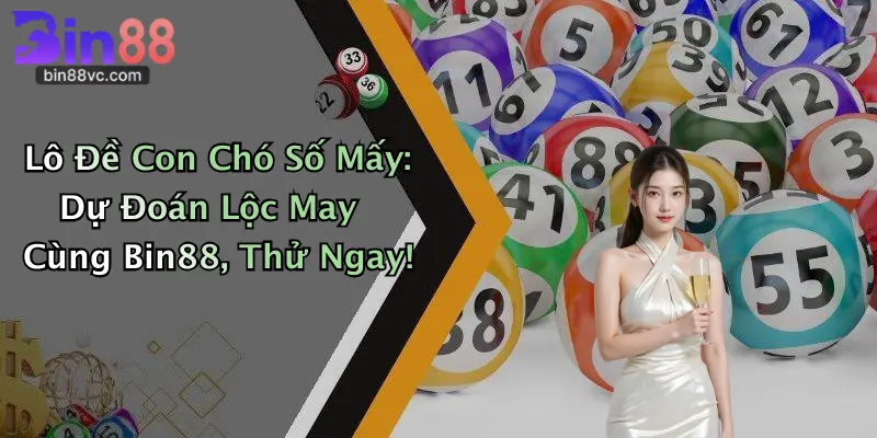 Lô Đề Con Chó Số Mấy: Dự Đoán Lộc May Cùng Bin88, Thử Ngay!